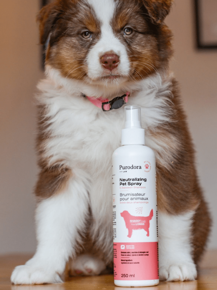 In Between Shampoo - Neutralizing Pet Spray for Shaggy Coats