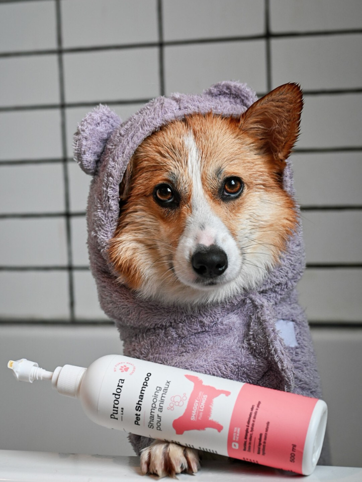 Pet Shampoo - Short & Long Coats