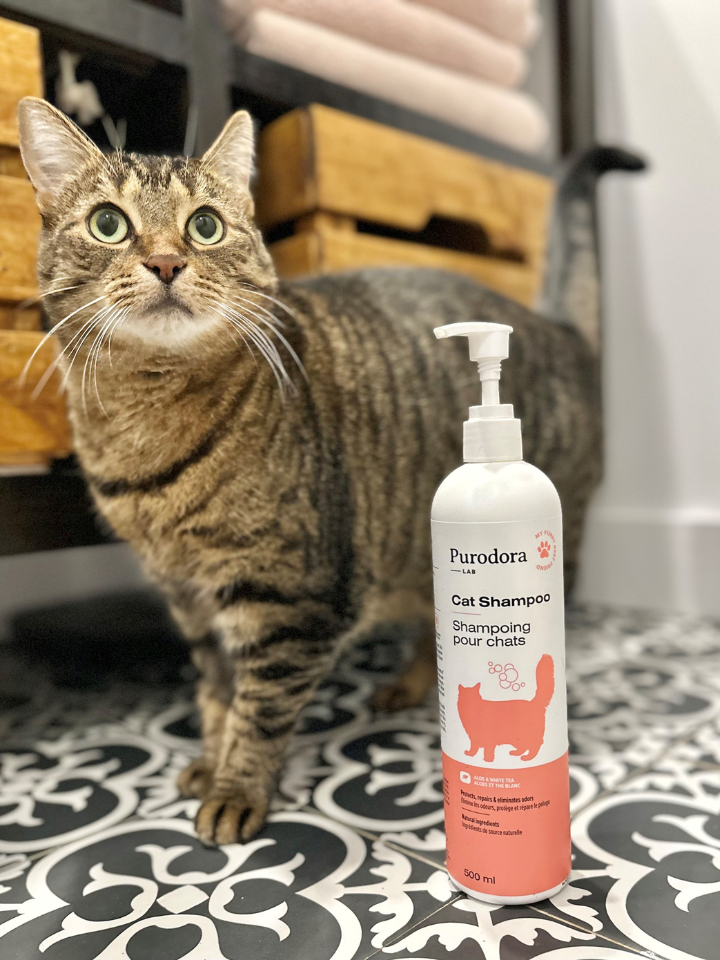 Cat Shampoo