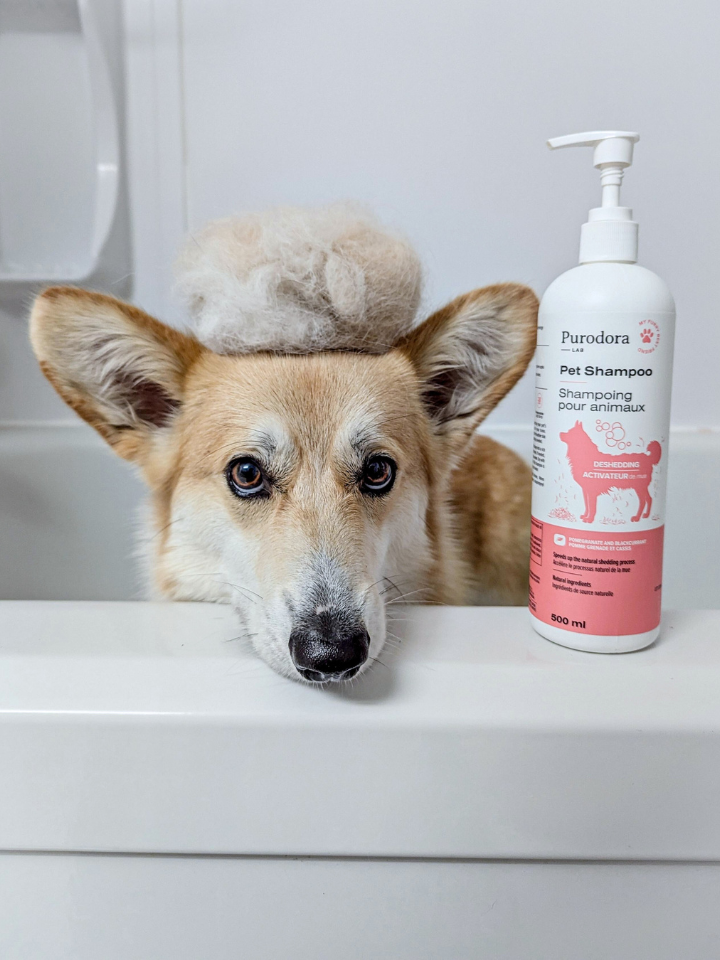 Deshedding shampoo for pets