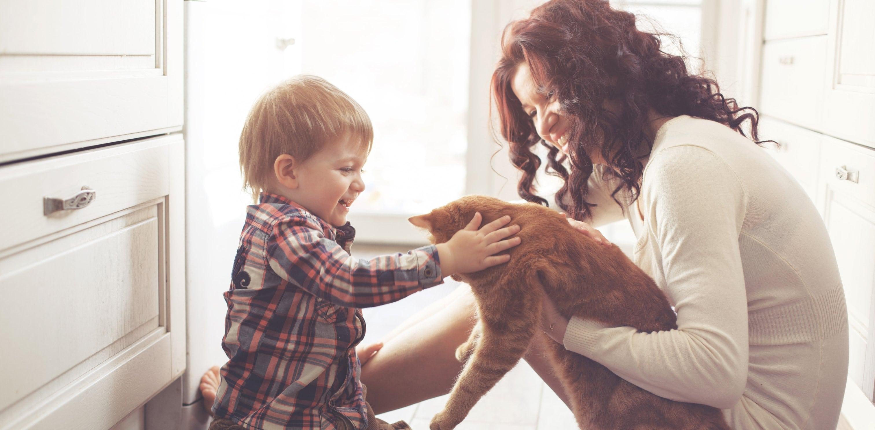 Famille avec chat sur le plancher