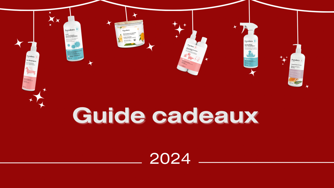 Guide cadeaux : Offrir la tranquillité d'esprit