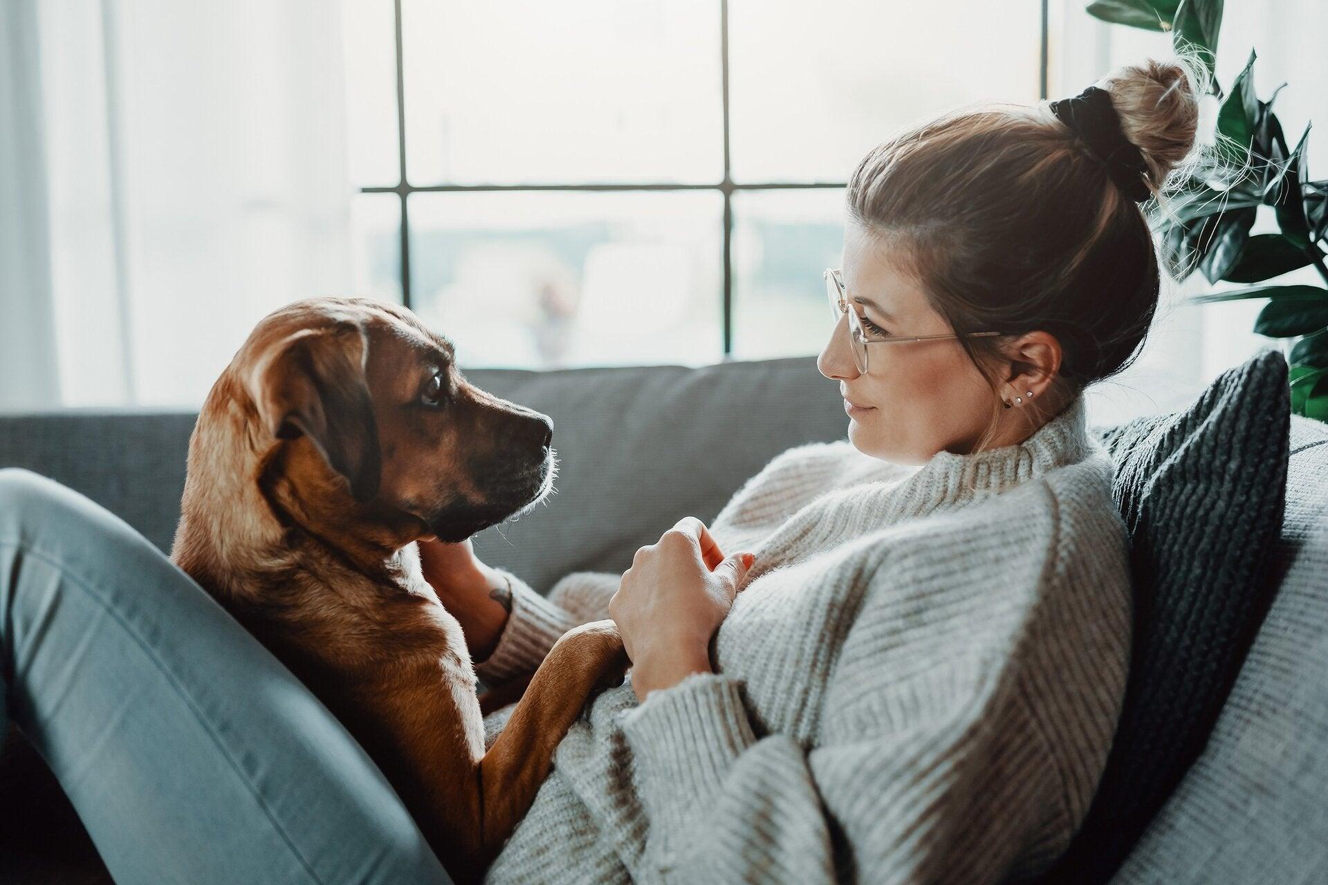 Femme et son chien sur un sofa qui dégage des odeurs