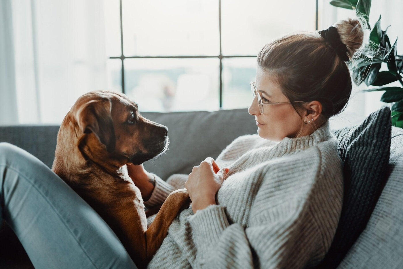 Femme et son chien sur un sofa qui dégage des odeurs