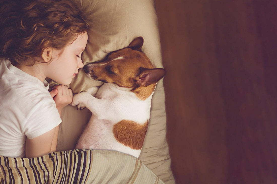 Enfant et chien sur un matelas sans odeur d'urine