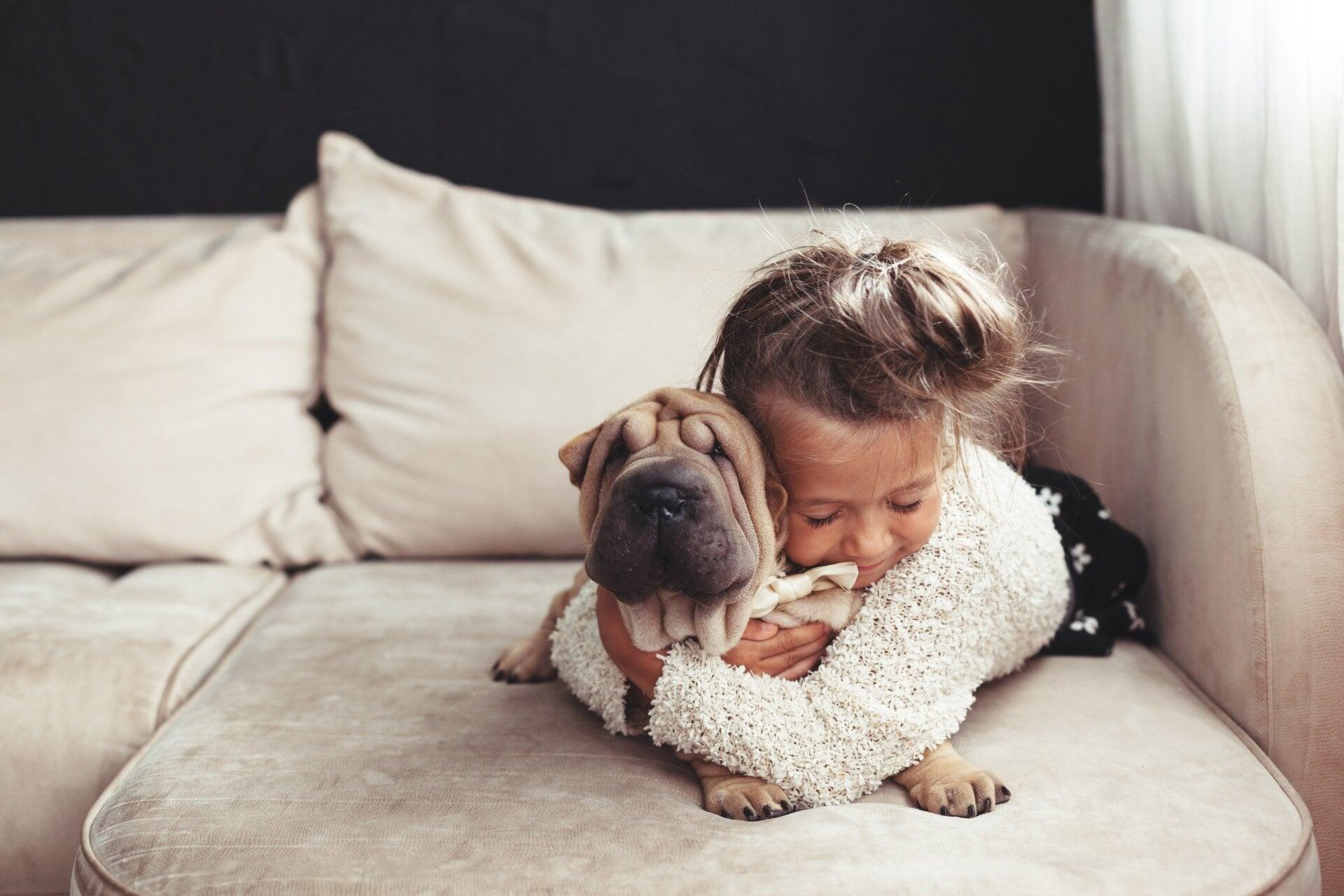 Fillette et chien sur un sofa sans mauvaise odeur