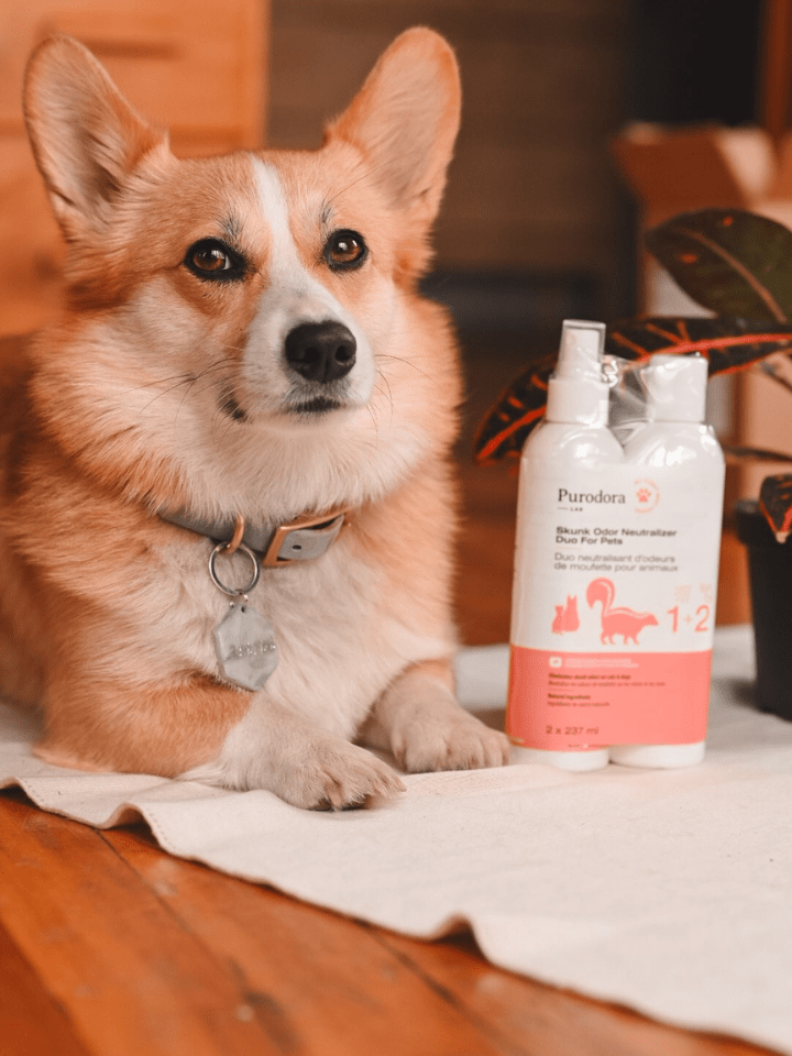 pet smell neutralizer