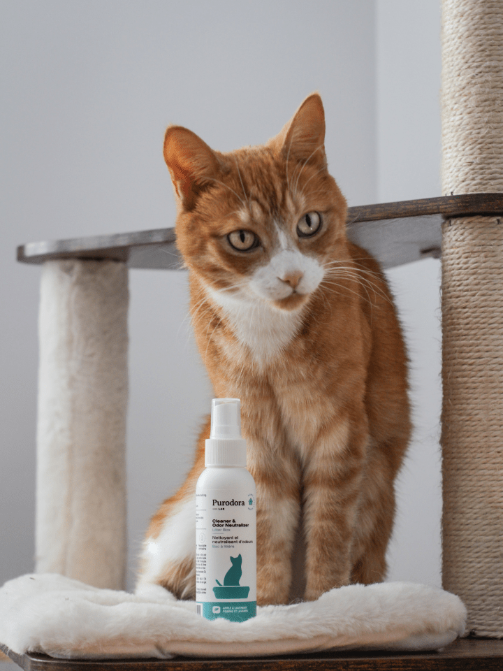 Litter Box Cleaner & Odor Neutralizer