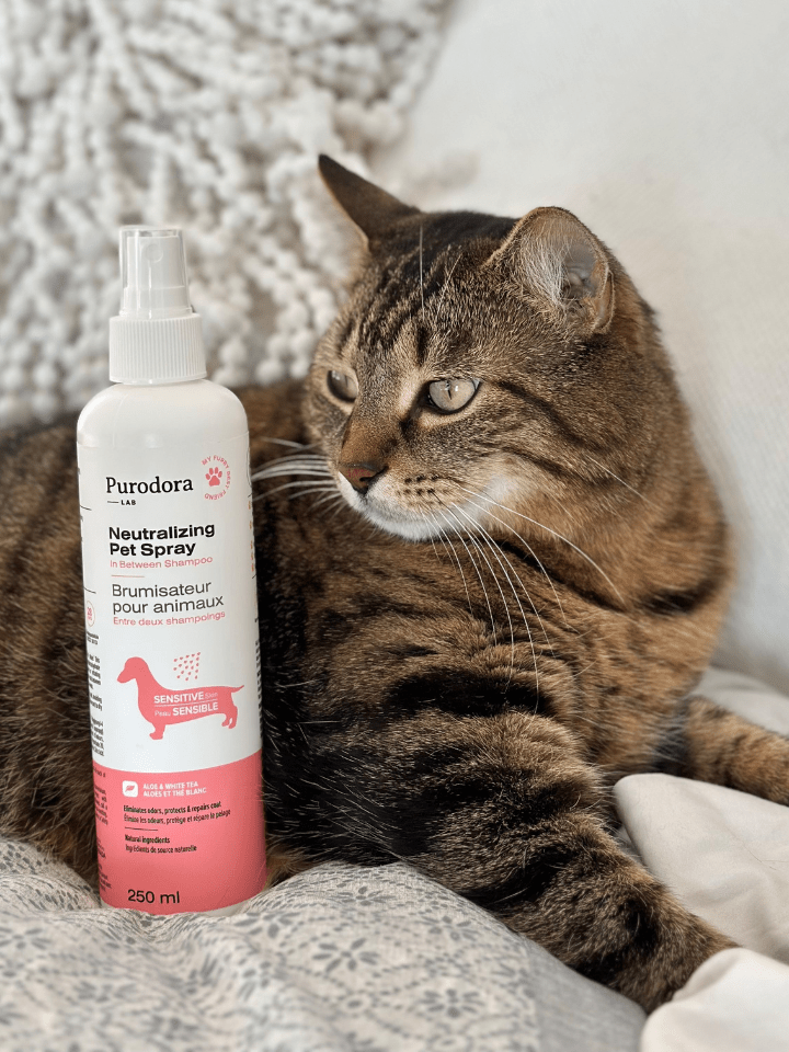 pet smell neutralizer