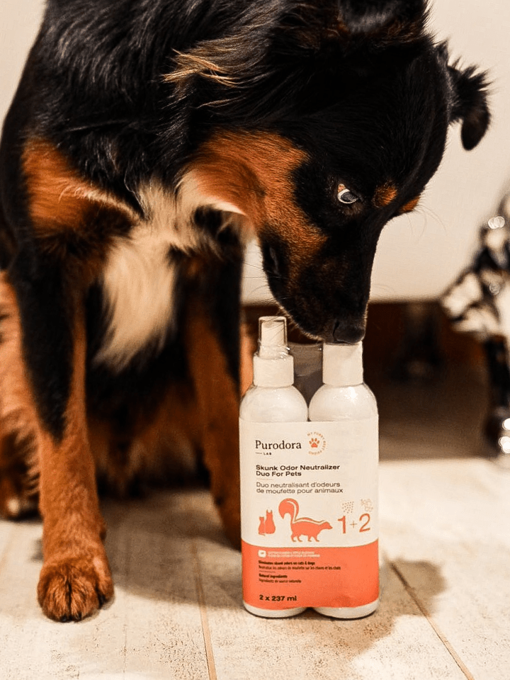 pet smell neutralizer