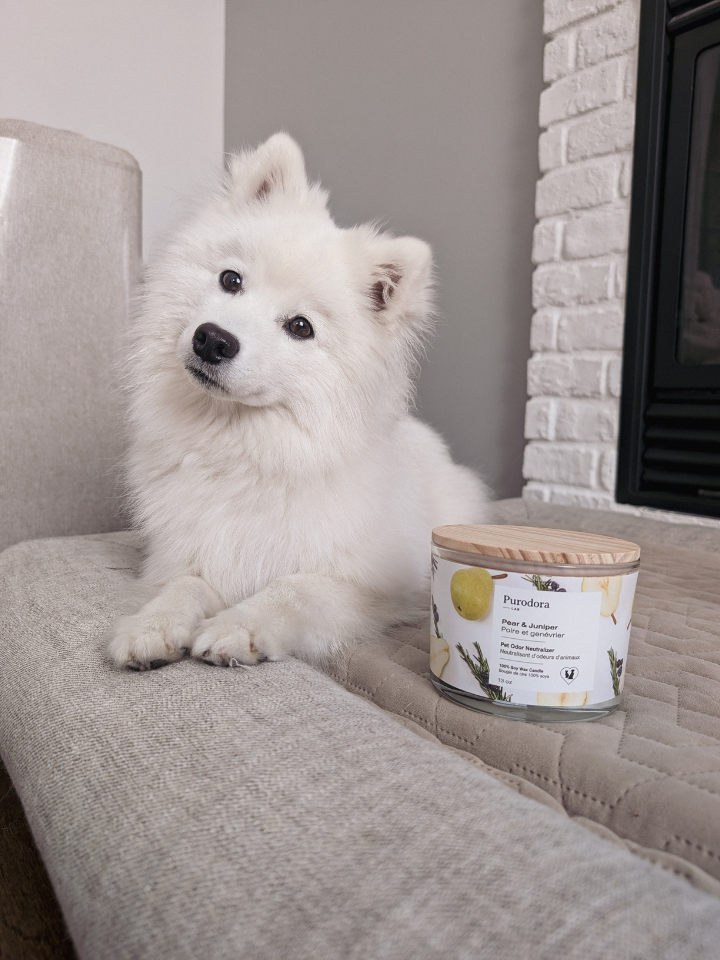 100% Soy Candle and Pet Odor Neutralizer - Pear & Juniper