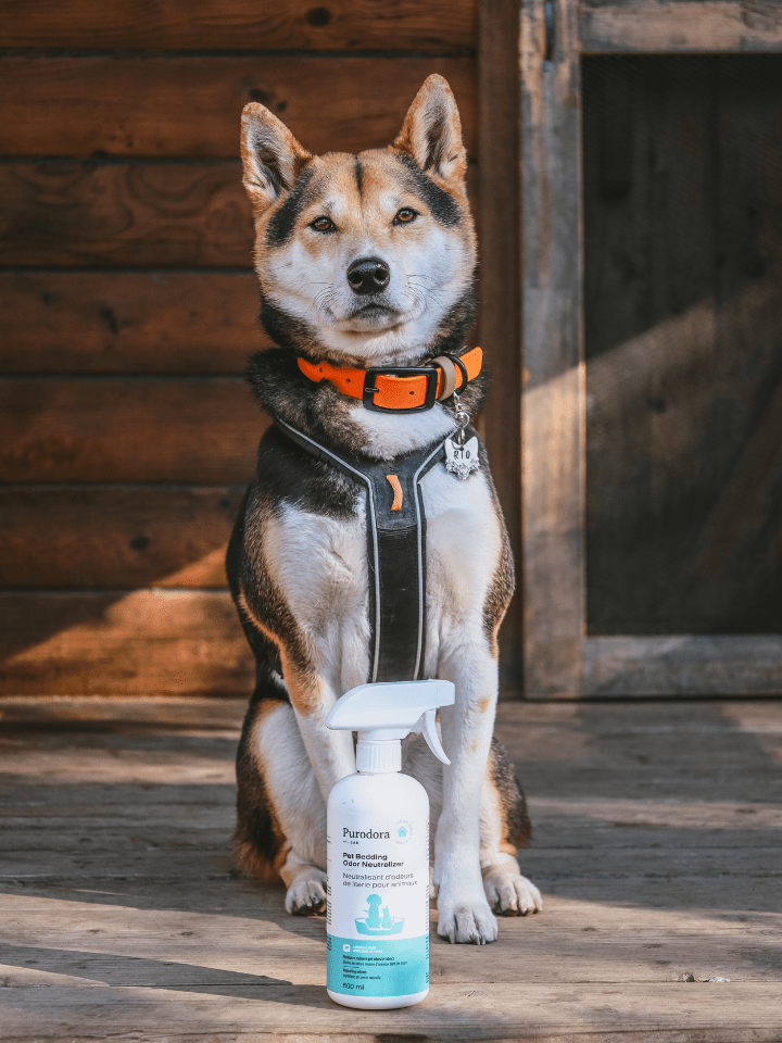 pet smell neutralizer