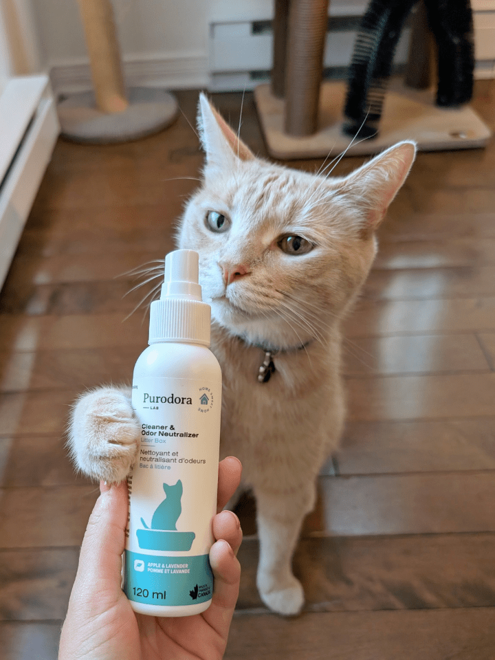 Litter Box Cleaner & Odor Neutralizer