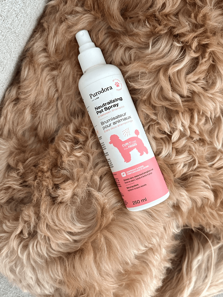 In Between Shampoo - Neutralizing Pet Spray for Curly Coats