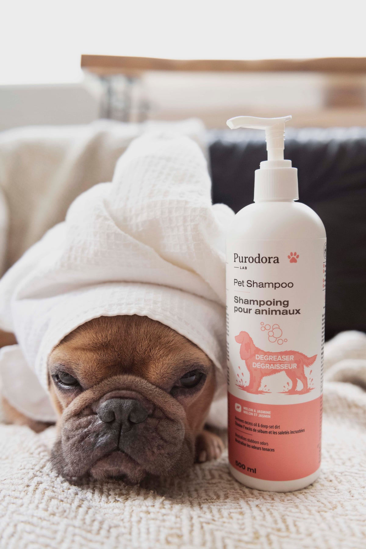 Degreasing Pet Shampoo