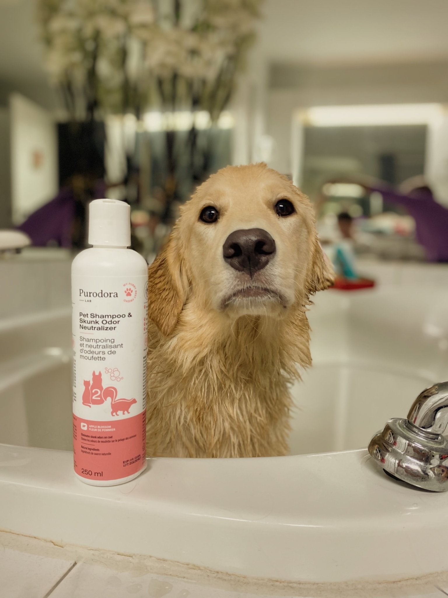 Pet Shampoo & Skunk Odor Neutralizer